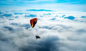 Lire la suite à propos de l’article Un ciel pour tous